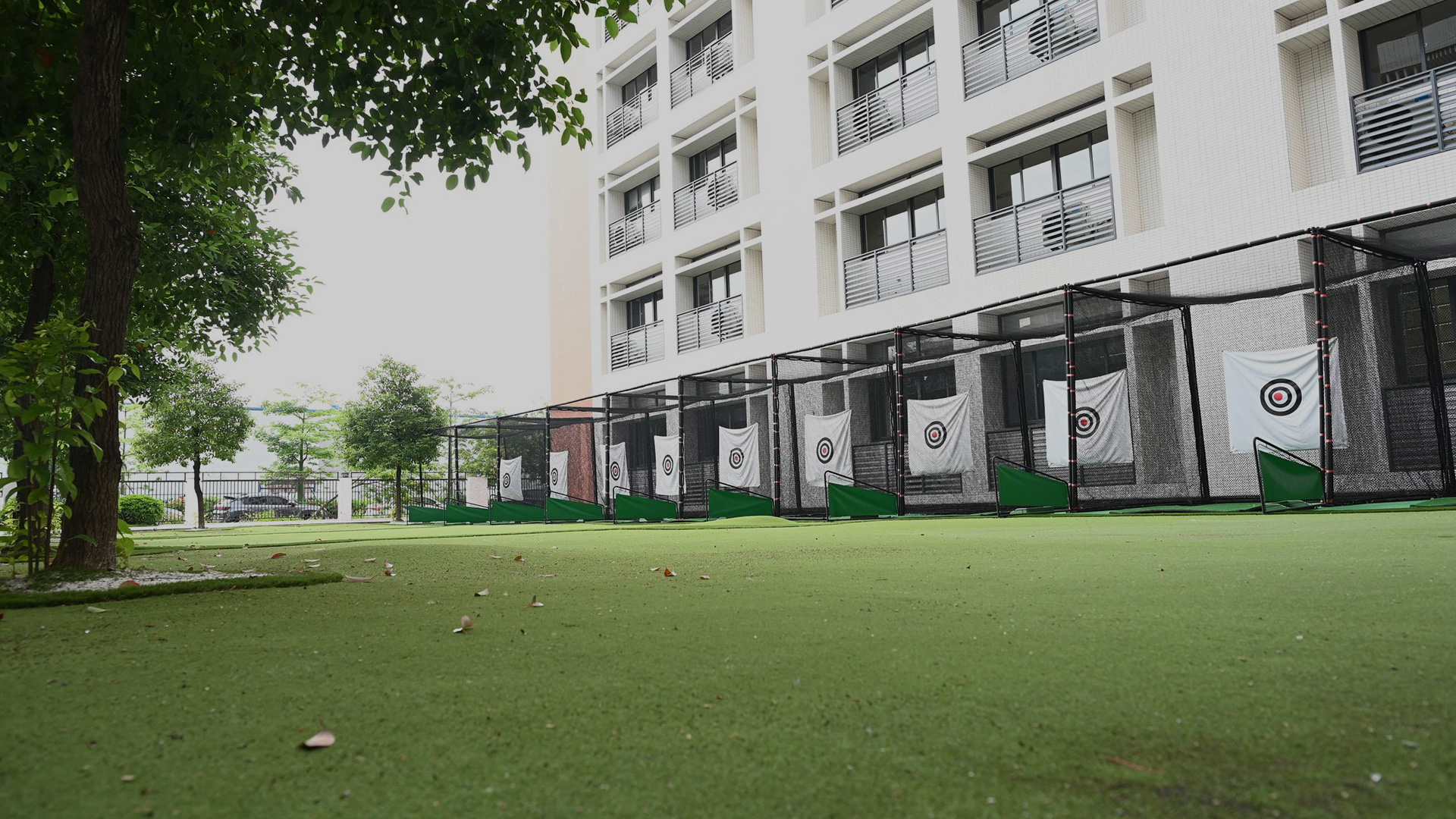 全学段全面发展可视化评估