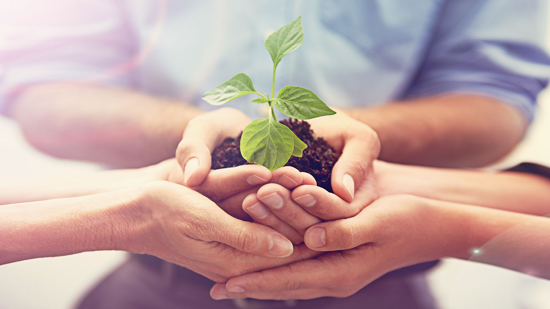 十二年生涯规划，“三通道”升学方向